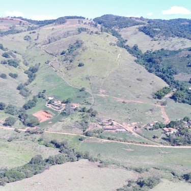 Campo