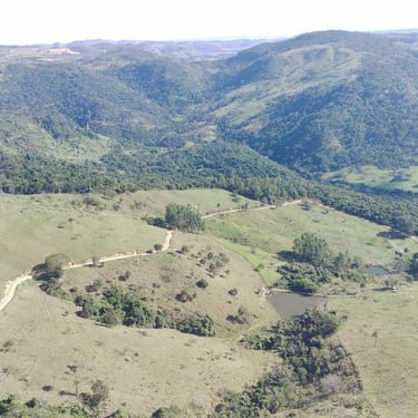 Campo
