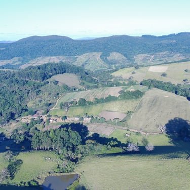 Campo